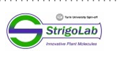 StrigoLab