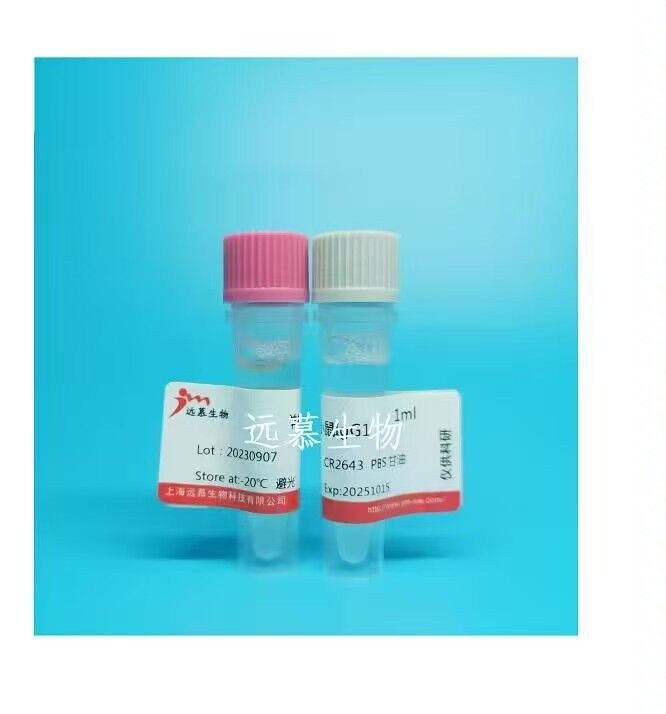 Anti-Myoglobin  McAb (labeling)