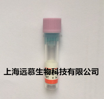 維生素C的功效及作用和適用人群詳細(xì)介紹