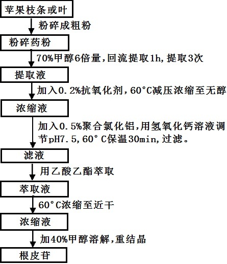 【CAS號：60-81-1｜根皮苷】提取方法